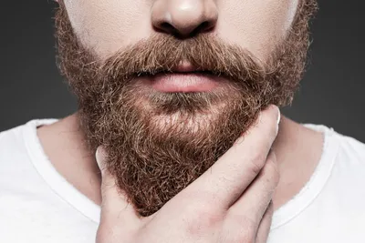 Портрет красивый мужчина с бородой на черном фоне :: Стоковая фотография ::  Pixel-Shot Studio