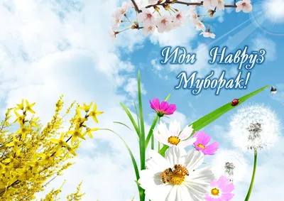 Alisher Mirsadikov on X: \"Navruz bayrami muborak bosin. #NavrUz #navruz  #21mart #uzbekistan https://t.co/ojEhAfQMcI\" / X