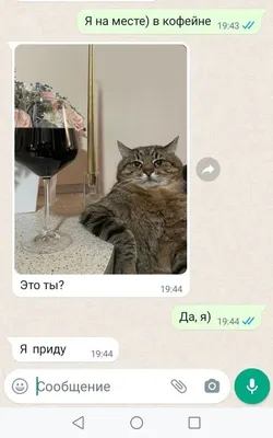 За что обиженная женщина наказала спящего сожителя?