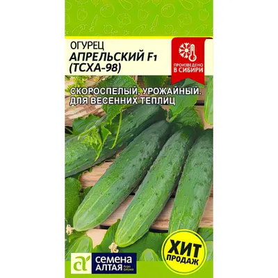 Огурец - характеристики и свойства посевной овощной культуры