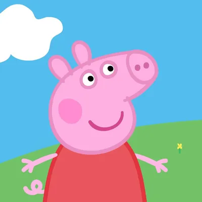 Amazon.com: My Friend Peppa Pig - PlayStation 4 : Ui Entertainment:  Everything Else