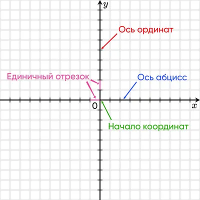 Дидактическая игра для старших дошкольников «Раскрась по координатам» (3  фото). Воспитателям детских садов, школьным учителям и педагогам - Маам.ру