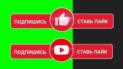 Подпишись на наш Инстаграм и получи бонус | Легамед