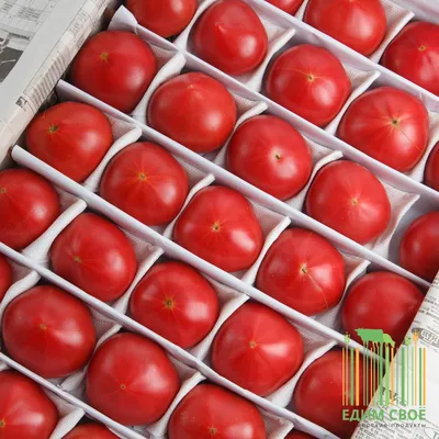 Рецепт маринованных помидоров с фото пошагово на Вкусном Блоге