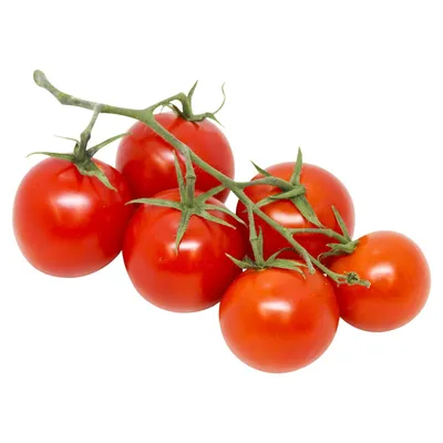 Простые красные помидоры помидоры на белом фоне И картинка для бесплатной  загрузки - Pngtree
