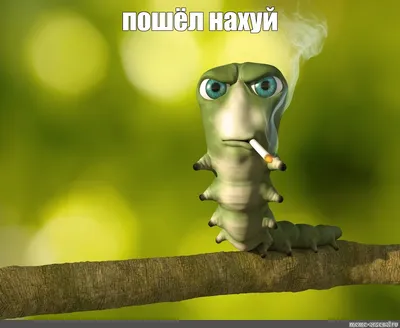 Пошел нахуй?