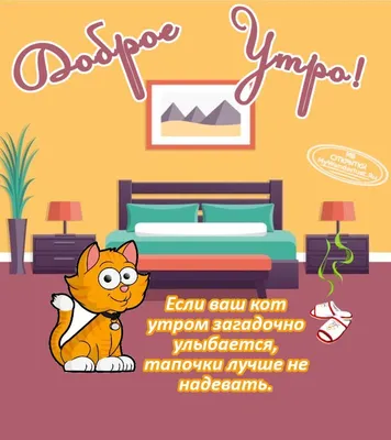 Юмор со смыслом - Доброе утро ☺️ #доброеутро #приколы #смешноевидео #юмор  #видеоприколы #смешныеживотные | Facebook