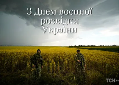 С Днем разведки ВМФ России! Храбрые открытки и мужественные слова в  праздник 16 февраля | Весь Искитим | Дзен