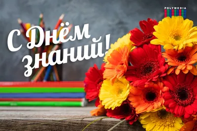 С Днем знаний: открытки, картинки и поздравления учителю - День знаний