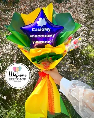 С днем знаний учителю (51 лучших фото)