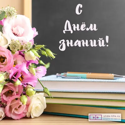 Как оригинально поздравить учителя с Днём знаний? - Лента новостей ДНР