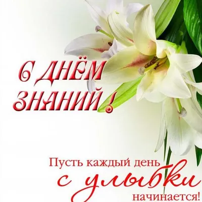 Открытка с днем знаний учителю — Slide-Life.ru