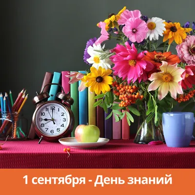 Букет разноцветных астр на день знаний - Скачайте на Davno.ru
