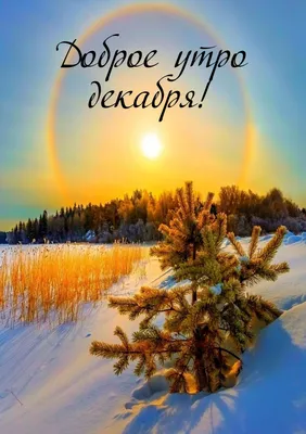 Доброе Утречко!С первым днем зимы!1 декабря!Здравствуй Зима! - YouTube