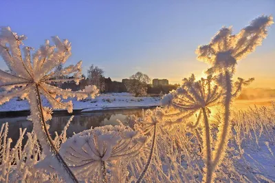 Замечательного зимнего утра - 72 фото