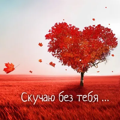 Картинки: \"Скучаю по тебе!\" (92 шт.)