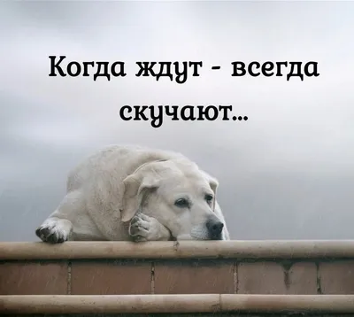 Нежное послание любимому. Ты знаешь ...Я скучаю по тебе... - YouTube