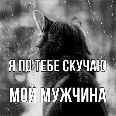 Пожелания хорошего дня в картинках, своими словами, в стихах, в смс и  христианские пожелания доброго дня — Украина