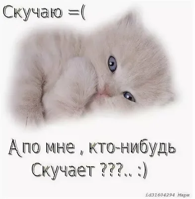 Открытка скучаю мужчине (41 фото) » Рисунки для срисовки и не только