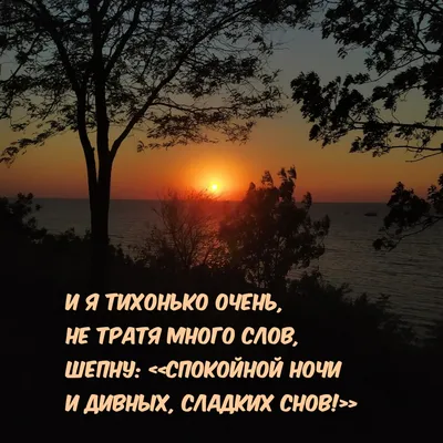 Приятных снов спокойной ночи сладких снов (73 лучших фото)