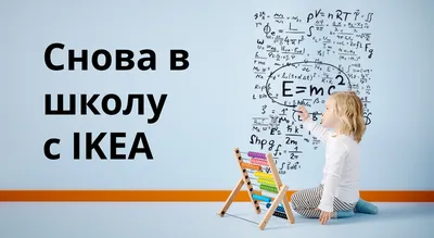 Звезда Снова в школу