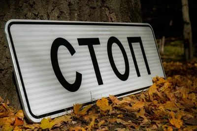 Скажите \"Стоп!\" - неправильному положению ваших стоп. Почему все тело  зависит от здоровья ступней. | Медицинский центр «Симметрия» | Дзен