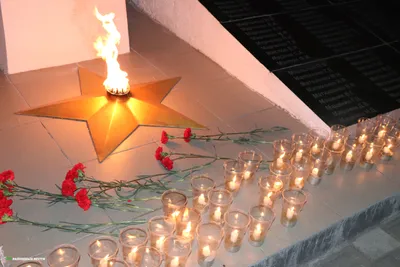 В День памяти и скорби «Свечи памяти» зажгут онлайн | Наукоград-Пресс