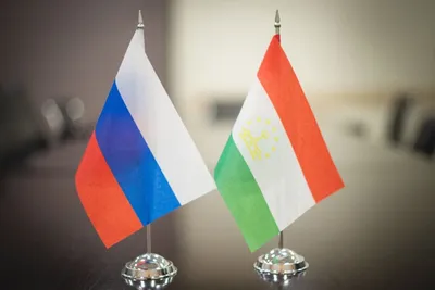 🇹🇯 Уважаемые Таджикистанцы! Мы поздравляем вас С Днём Независимости  Республики Таджикистан! ⠀ 🕊 Желаем вам спокойствия и мира в доме… |  Instagram