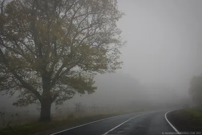 Густой туман осенью: к чему примета?