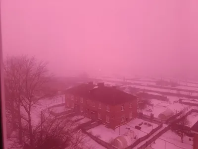 Сильный туман сохраняется в Красногорске утром во вторник - Из жизни -  РИАМО в Красногорске