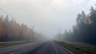 Разница между туманом и смогом | Прана Эйр