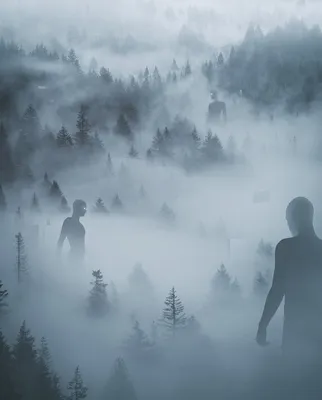 Густой туман окутает Таганрог и окрестности