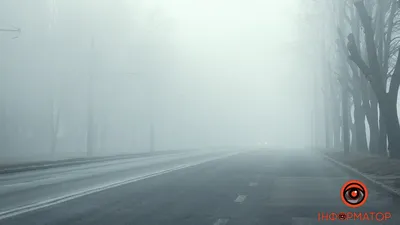 Туман в поле. Фотограф Кузнецов Семён