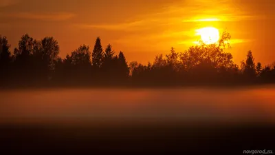 Пешеходы-невидимки и скользкая дорога: чем опасен туман