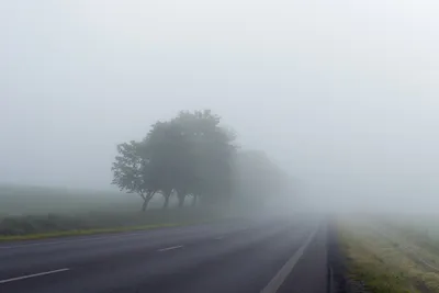 Густой туман накрыл южный мегаполис — Новости Шымкента