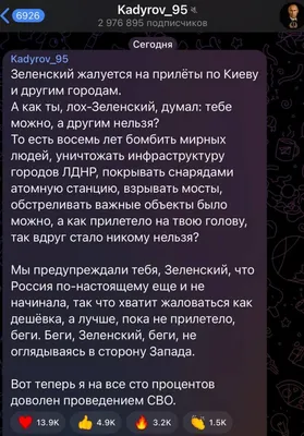 ебать ты лох :: коты / смешные картинки и другие приколы: комиксы, гиф  анимация, видео, лучший интеллектуальный юмор.