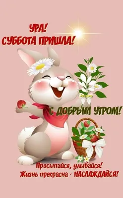 Купить наклейку «Ура! Снова в школу нам пора» / «Вперед к знаниям»