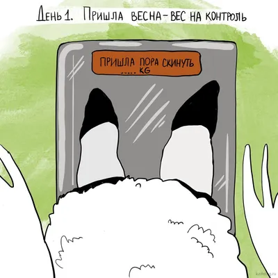Ура! Рыжик уехал домой!!!