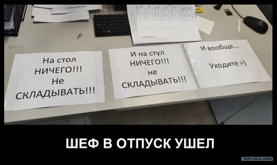 Картинки с надписью я в отпуске не беспокоить (44 фото) » Юмор, позитив и  много смешных картинок