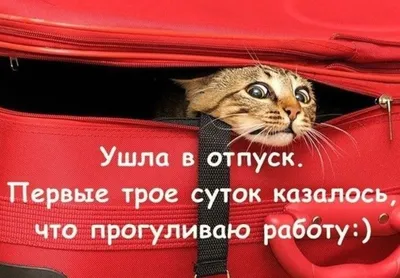 Работник полагал, что у него отпуск, в связи с этим на работу не вышел и  был уволен! - YouTube