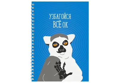 Дневник универсальный для 1-11 класса \"Узбагойся\", интегральная обложка,  искусственная кожа, шелкография, ляссе, 80 г/м2 купить в Чите Школьные  дневники в интернет-магазине Чита.дети (9363866)