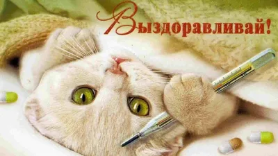 Картинки с выздоровлением мужчине - 70 фото