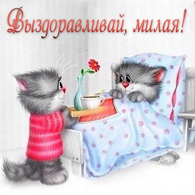 Леденящий Душу Пиздец 𓆏 on X: \"Я знаю, что заботы ни на одном из этих  скринов нет. https://t.co/soam6mZKcZ\" / X