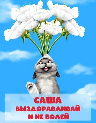 Картинка Выздоравливай !