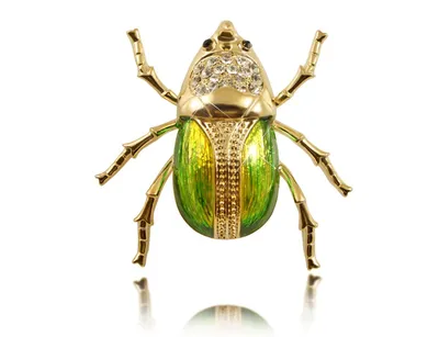 Dung жука стоковое изображение. изображение насчитывающей тварь - 10216477