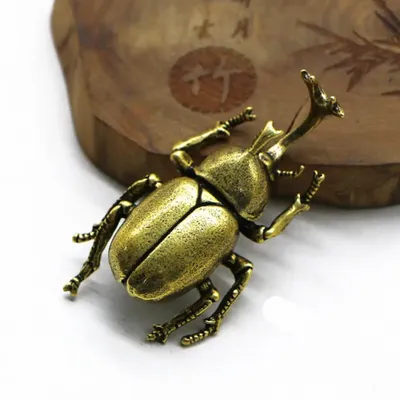 Инопланетяне макромира: самые странные и необычные жуки планеты —  05.07.2021 — В мире, Lifestyle на РЕН ТВ