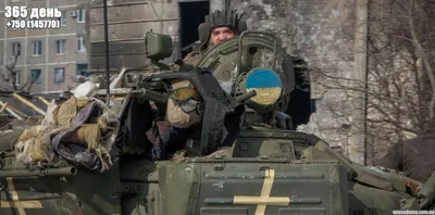 23 февраля - повод для гордости за наши Вооруженные силы