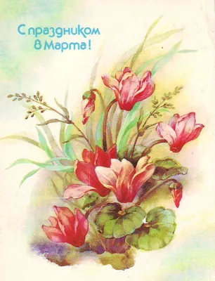 Тюльпаны на 8 марта» картина Абрамовой Анны (бумага, карандаш) — купить на  ArtNow.ru