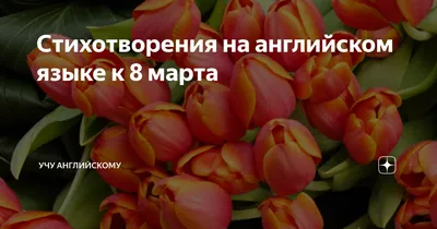 Поздравления с 8 Марта прикольные, шутливые и веселые » Звезды, стиль и  здоровье