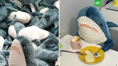 IKEA перестанет выпускать плюшевую акулу Blahaj // Новости НТВ